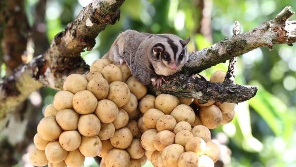 Loat loi ich bat ngo cua qua bon bon ban khong nen bo qua-Hinh-8