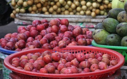 Khong ngo man vao mua ngon vay ma an nhieu lai gay hai the nay-Hinh-9