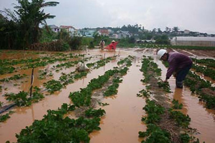 Meo an uong dam bao suc khoe cho nguoi o “ron lu”-Hinh-8