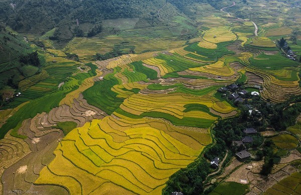 Nhung canh dong ong a mua lua chin hut hon du khach-Hinh-5