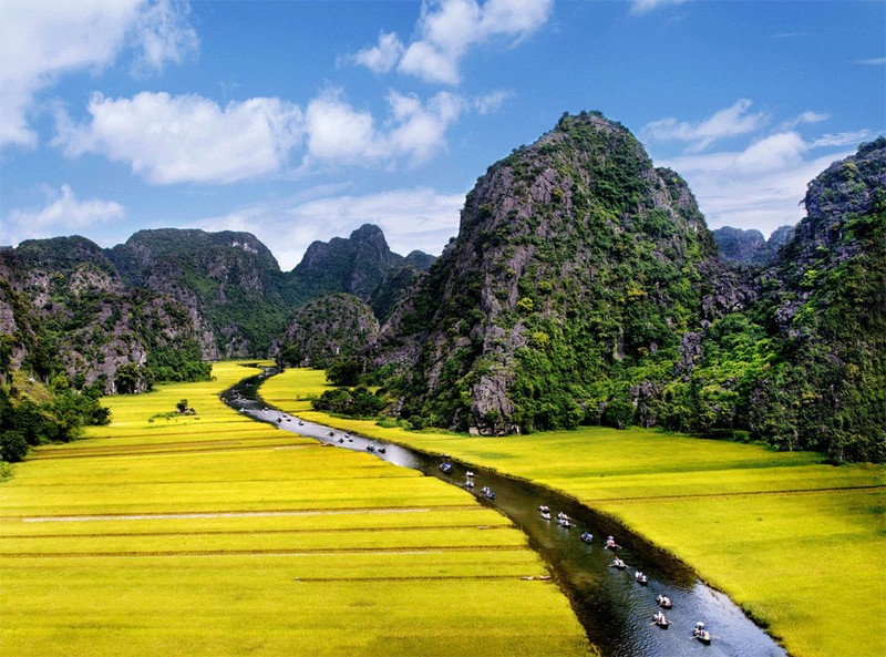 Nhung canh dong ong a mua lua chin hut hon du khach-Hinh-9