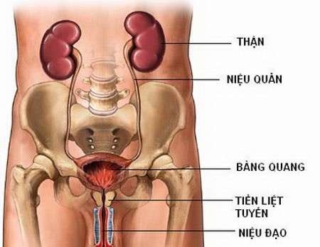 Diem ten 10 benh chi co the khoi khi dung rau diep ca-Hinh-8