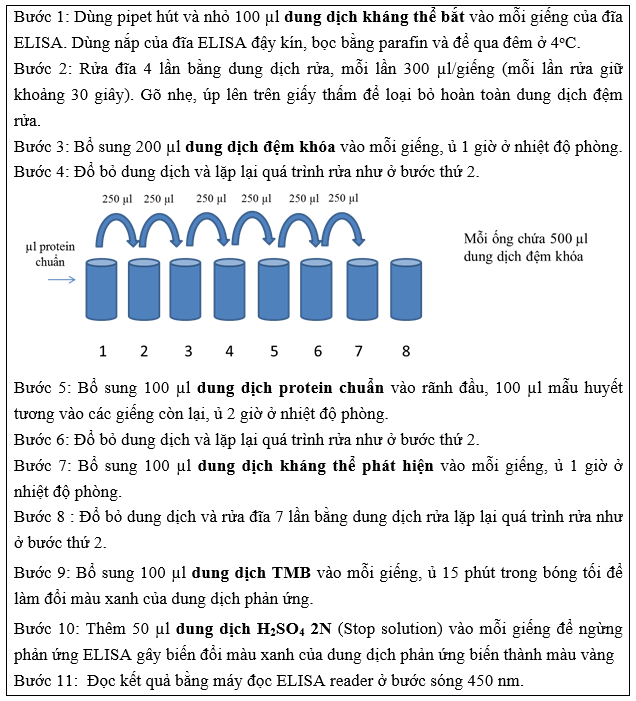 “An dut” hang ngoai, kit thuong hieu Viet chan doan nhanh 3 benh bam sinh-Hinh-4