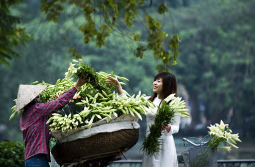 Bat mi ve hoa loa ken tu quy no hoa quanh nam-Hinh-2