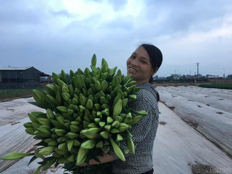 Bat mi ve hoa loa ken tu quy no hoa quanh nam-Hinh-6