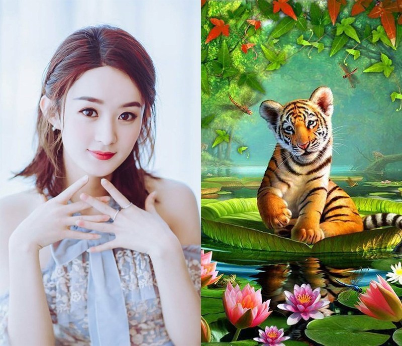 Sang tháng 11/2022: Top con giáp quét sạch vận đen, tắm trong biển tiền - Hình 2 Sang thang 11/2022: Top con giap quet sach van den, tam trong bien tien-Hinh-2