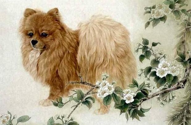 Tuần mới (từ 28/8 đến 3/9/2023): Tý đào hoa, Hợi phát tài - Hình 11 Tuan moi (tu 28/8 den 3/9/2023): Ty dao hoa, Hoi phat tai-Hinh-11