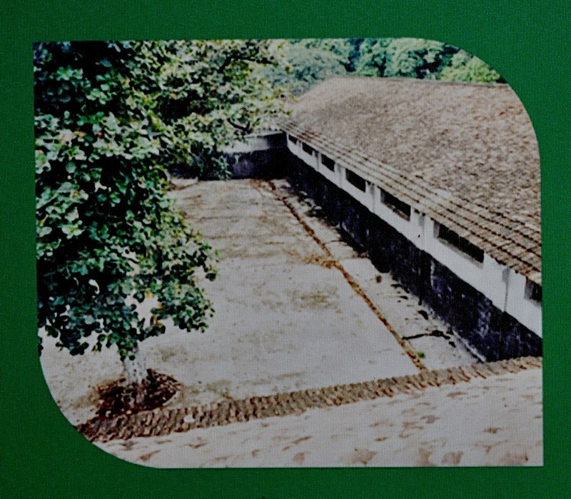 Chuyen chua ke ve 'cay bang hiep si' trong Nha tu Hoa Lo-Hinh-4