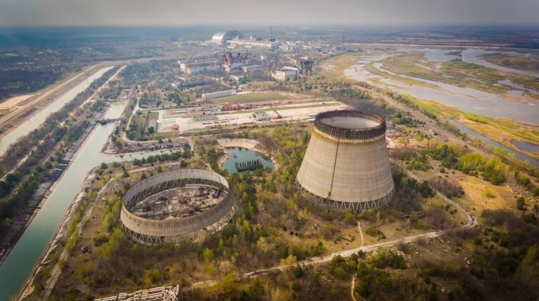 Bi an ve dan cho hoang sinh ton sau tham hoa hat nhan Chernobyl-Hinh-5