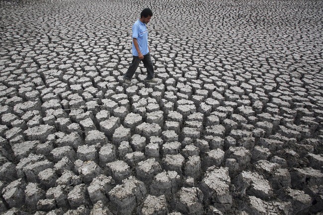 Ngan El Nino hoanh hanh, nguoi co dai “ca gan” lam chuyen dang so nao?-Hinh-3