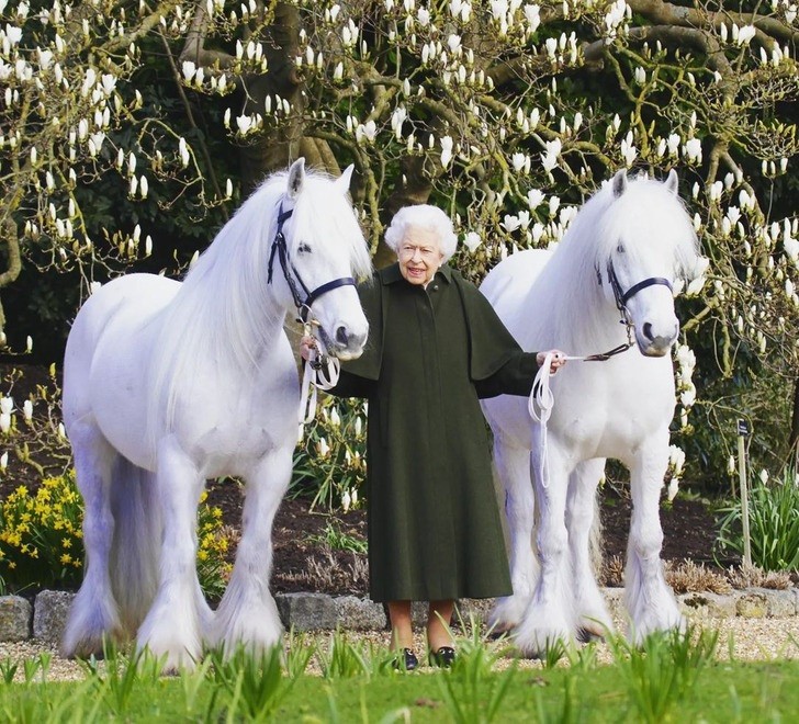 Loat anh quy hiem minh chung Nu hoang Elizabeth II rat yeu dong vat-Hinh-11