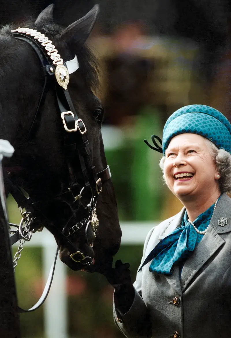 Loat anh quy hiem minh chung Nu hoang Elizabeth II rat yeu dong vat-Hinh-9