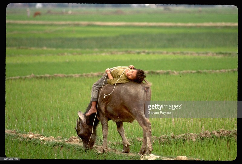 Viet Nam nhung nam 1993-1994 qua ong kinh nhiep anh gia My (2)-Hinh-7