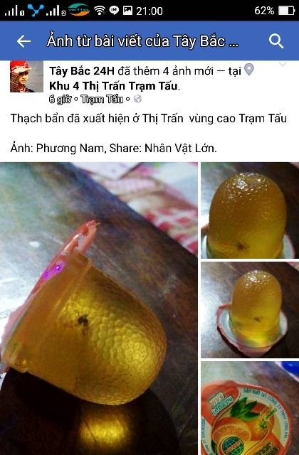 Nhung lan thach rau cau ban tuon ra thi truong