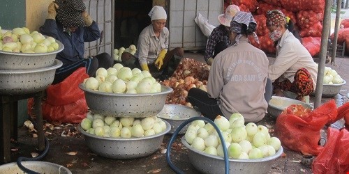 Giat minh xuong san xuat hanh kho sieu ban giua Ha Noi