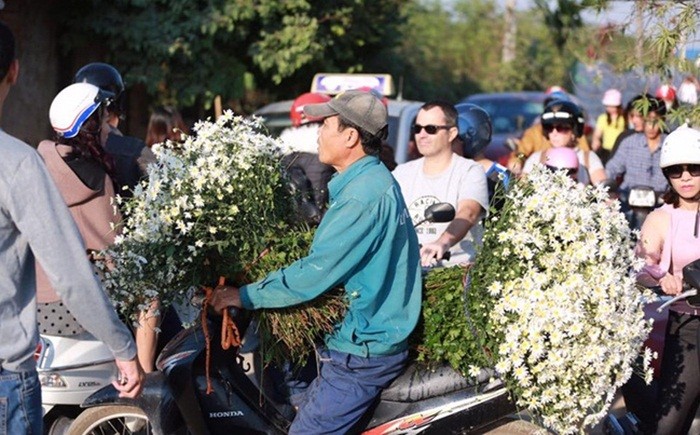 Canh tuong dong cuc hoa mi ha noi nghet tho khach tham-Hinh-4