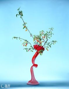 Ngam loat bonsai nhot sieu dep tao hinh doc la trung Tet-Hinh-3