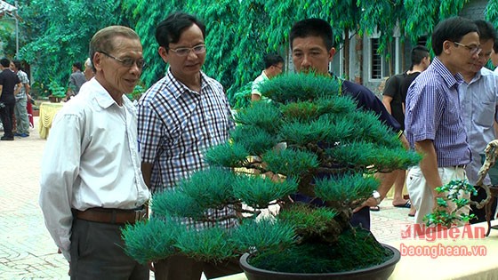 Nhung lang cay canh gia khung noi tieng nhat Viet Nam-Hinh-11