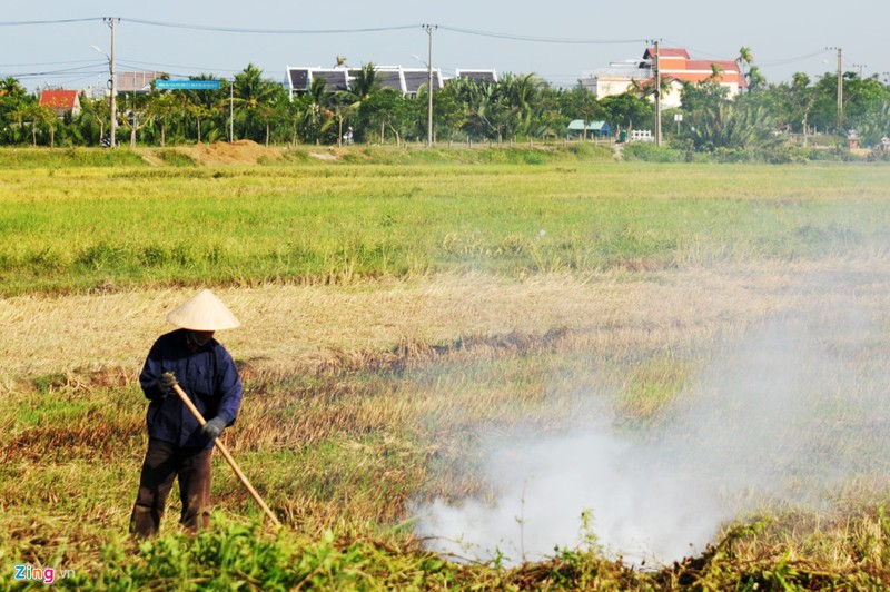 Tan muc lang biet thu sieu dep giua mien que Hoi An-Hinh-14