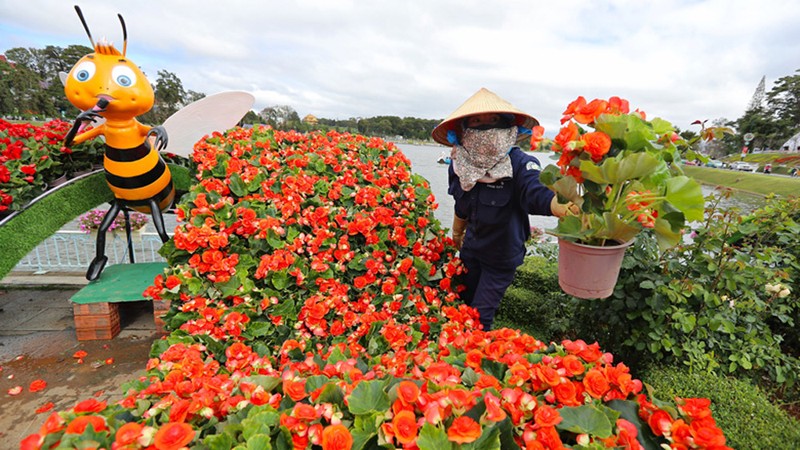 Festival hoa Da Lat 2024: Huy dong 60 ty dong to chuc tu xa hoi hoa-Hinh-3