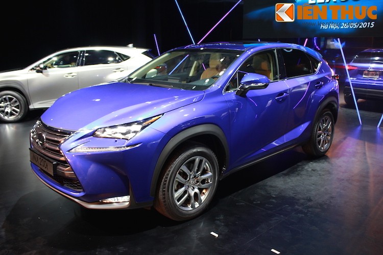 Can canh Lexus NX 