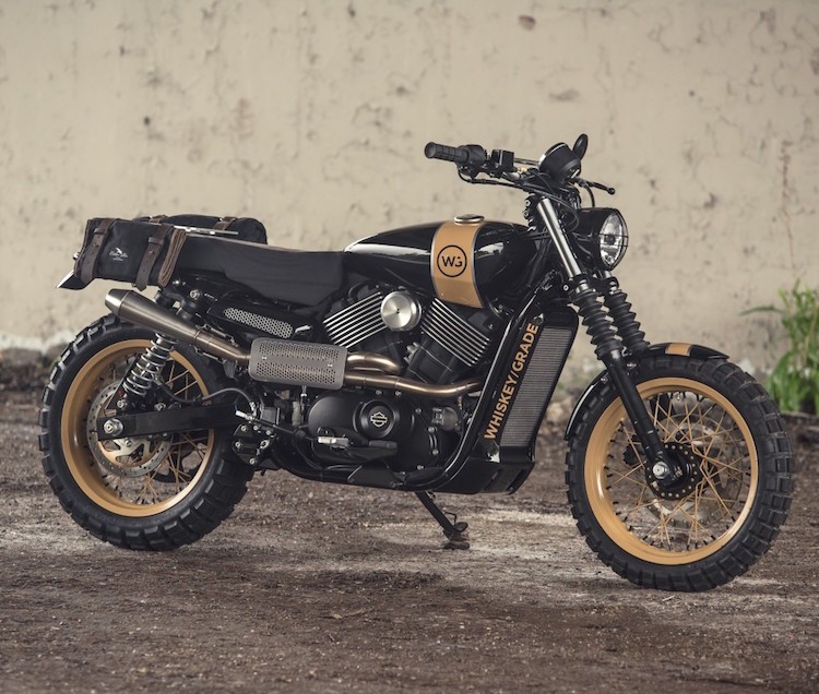 Harley-Davidson Street 750 len doi scrambler “hang thua“-Hinh-2