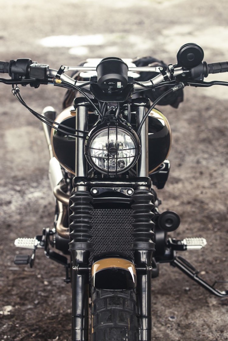 Harley-Davidson Street 750 len doi scrambler “hang thua“-Hinh-3