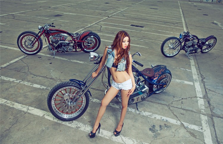 Moto Harley-Davidson khung do dang &quot;chan dai den nach&quot;