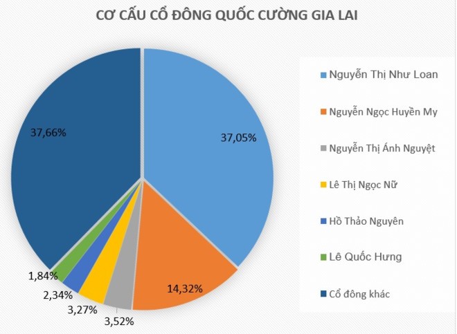 Dieu gi khien co phieu cong ty Cuong Dola bat tang 9 lan?-Hinh-2