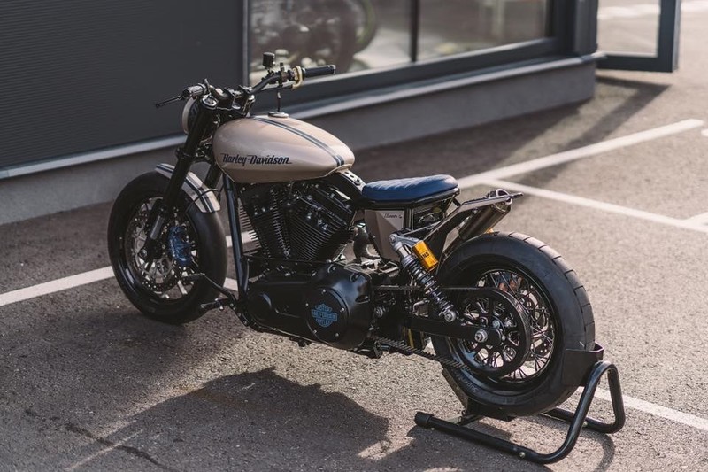 Xe moto Harley-Davidson Dyna “khung” voi do choi hang hieu-Hinh-2