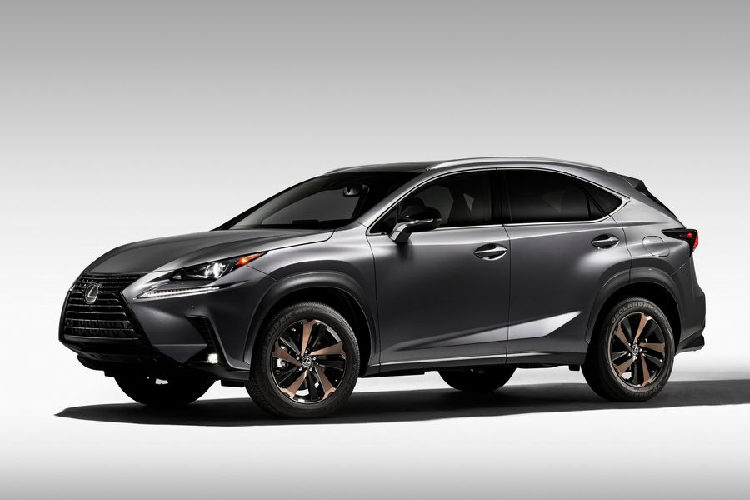 Xe sang Lexus NX 300 Black Line Special Edition 2020 trinh lang-Hinh-8