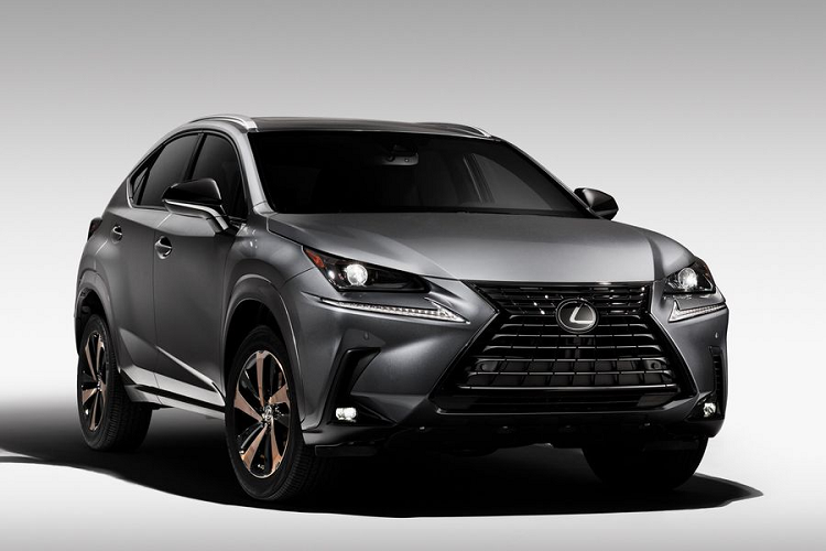 Xe sang Lexus NX 300 Black Line Special Edition 2020 trinh lang