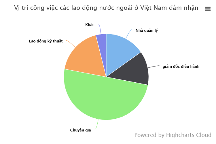 90 nghin lao dong nuoc ngoai o Viet Nam, toan sep lon va luong cao-Hinh-2