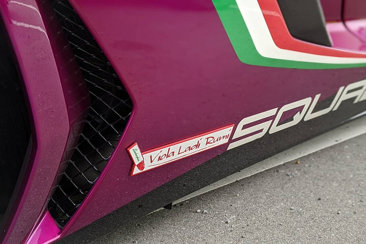 Sieu xe Lamborghini Aventador SV Roadster cuoi cung duoc san xuat-Hinh-5