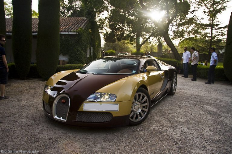 Ngam sieu xe Bugatti Veyron “Le Mans” Edition phien ban dac biet
