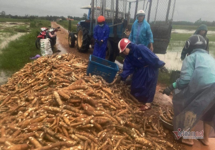 Cong an dam mua nho san, don bun giup dan vung lu-Hinh-4