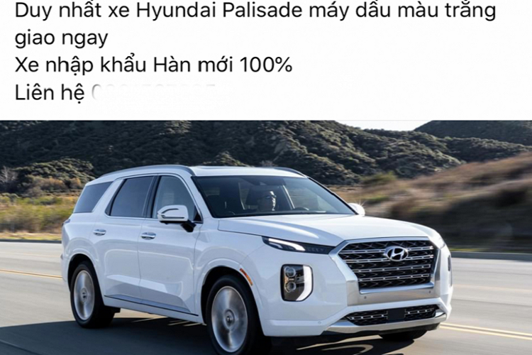 Dai ly chao ban Hyundai Palisade tai Viet Nam hon 2,5 ty dong-Hinh-3