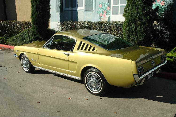 Chiec Ford Mustang Fastback 1965 son vay vang doc nhat vo nhi-Hinh-6