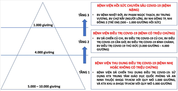 Vi sao TP HCM co the can nhac phuong an dieu tri F0 tai nha?-Hinh-2