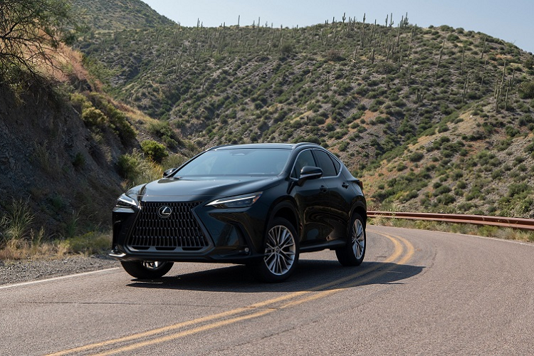 Lexus NX 2022 tu 846 trieu dong, them dong co hybrid-Hinh-3