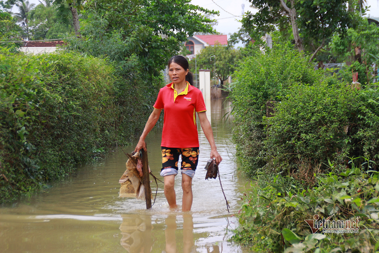 Nguoi dan Quang Nam than tho vi hang ta thoc ngam trong nuoc lu-Hinh-9