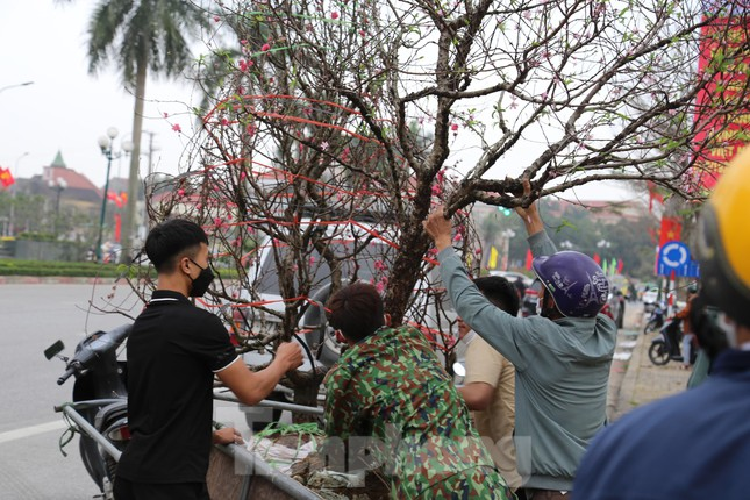 Cho thue quat, dao Tet tan nha kiem tien trieu moi ngay-Hinh-3