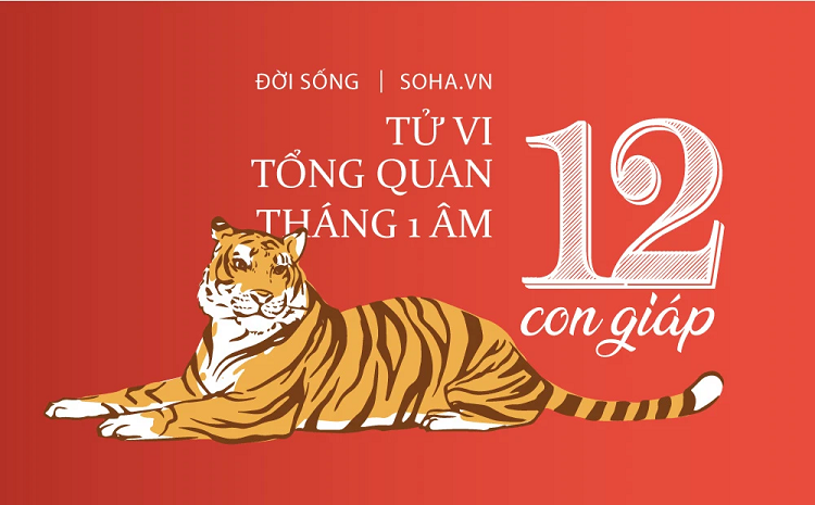 Tu vi 12 con giap thang 1 am: 4 con giap co Than tai ho tro