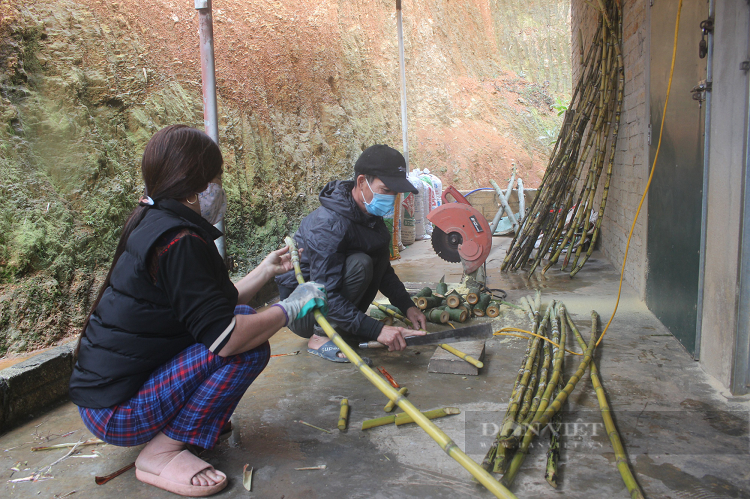 Nuoi loai thu ca doi khong uong nuoc, ban lam dac san-Hinh-3