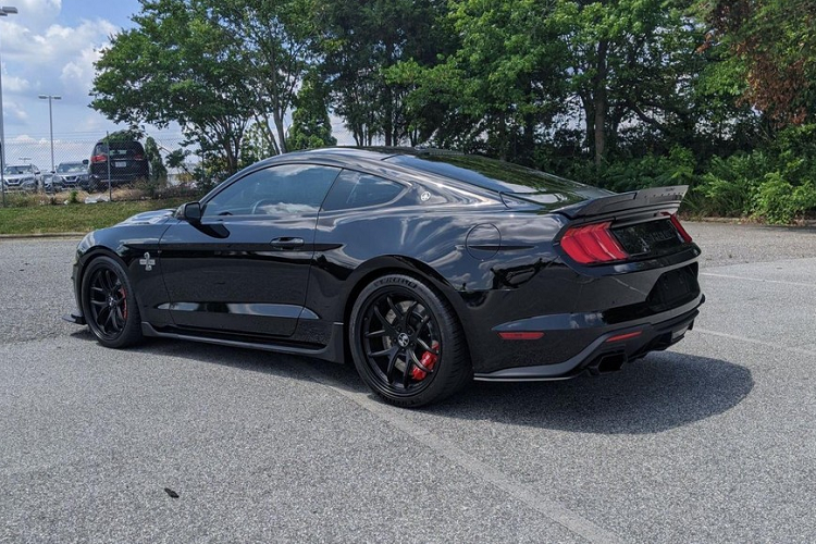 Shelby Super Snake - 