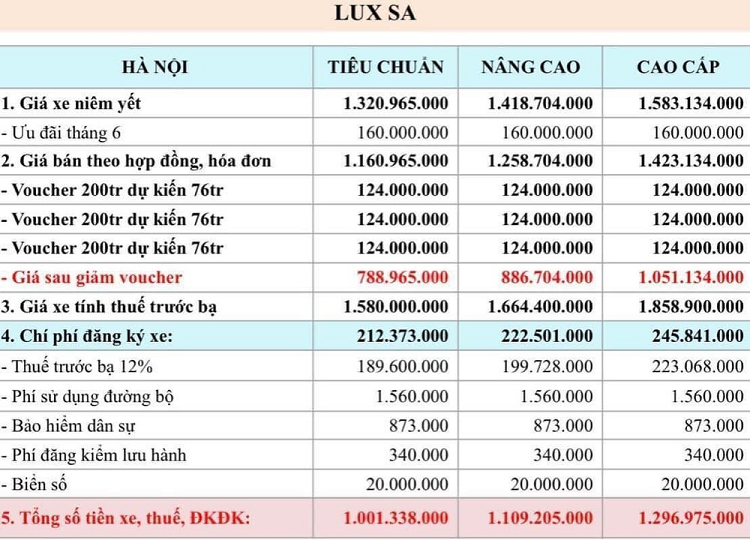 Khach Viet het co hoi “bat day” VinFast Lux vi dai ly ngung ban-Hinh-3