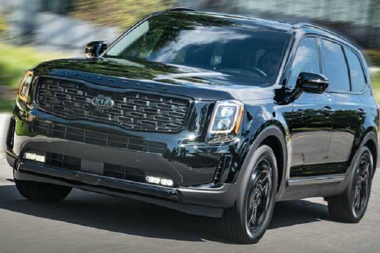 Trieu hoi Hyundai Palisade va Kia Telluride vi nguy co chay du tat may-Hinh-2