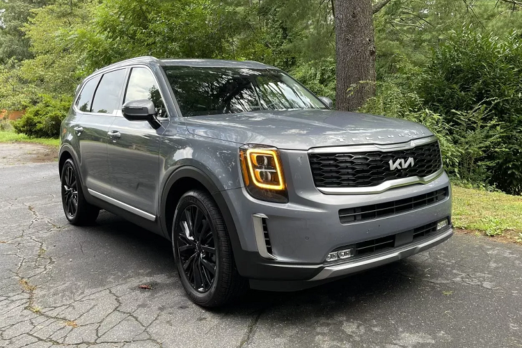 Trieu hoi Hyundai Palisade va Kia Telluride vi nguy co chay du tat may-Hinh-3