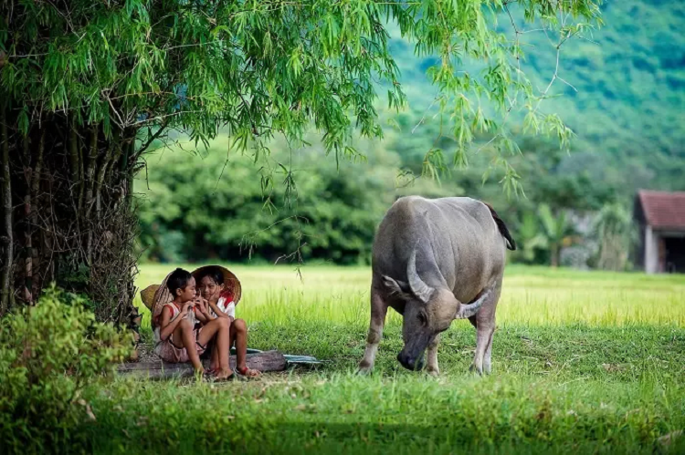 4 con giap 'do' ngoai giao, kem an noi de gay mat long-Hinh-2