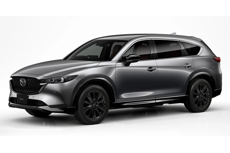Mazda CX-8 2023 tu 503 trieu dong, tiep tuc “dau” Huyndai SantaFe-Hinh-7